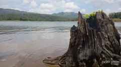 Sharavathi-river-backwaters3