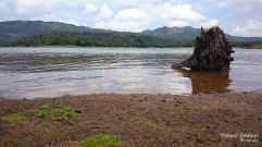 Sharavathi-river-backwaters4
